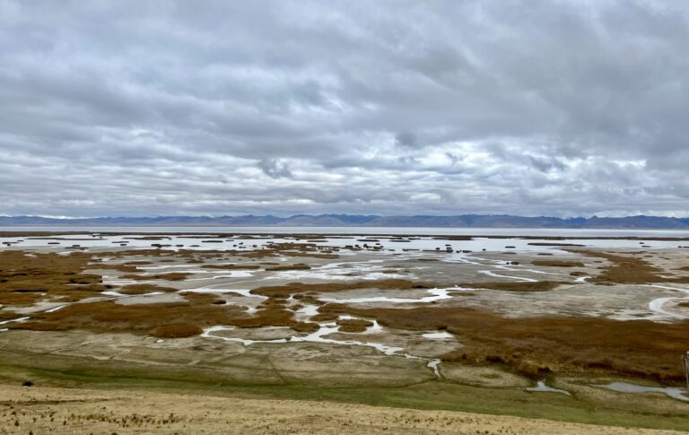 Junin lake